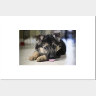 German Shepherd Puppy Digital Painting Posters and Art